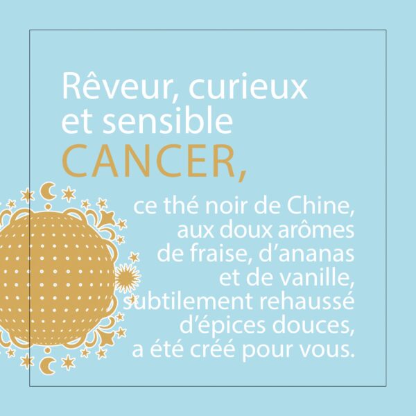 Astrothé Cancer - Rêveur, curieux et sensible – Image 4