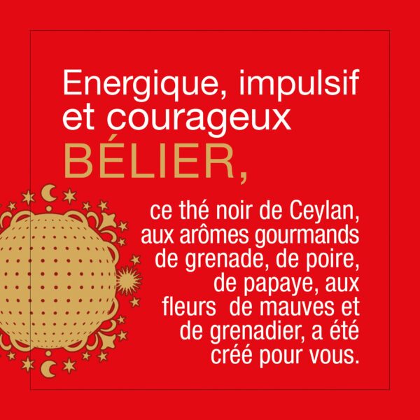 Astrothé Bélier - Energique, impulsif et courageux – Image 4
