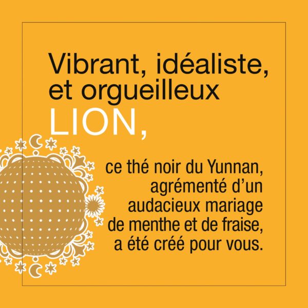 Astrothé Lion - Vibrant, idéaliste, et orgueilleux – Image 4