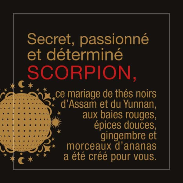 Astrothé Scorpion - Secret, passionné et déterminé – Image 4