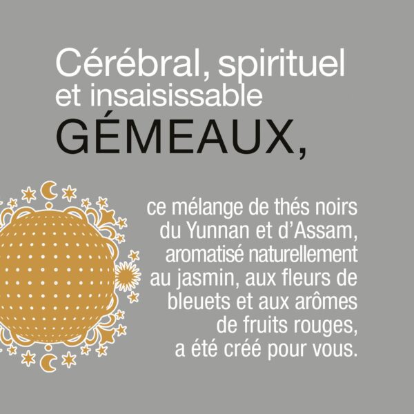 Astrothé Gémeaux - Cérébral, spirituel et insaisissable – Image 4