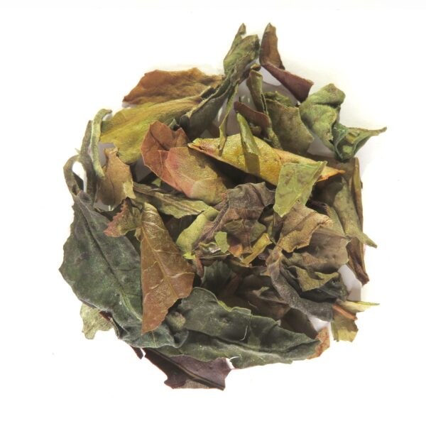 PAI MU TAN PIVOINE BLANCHE