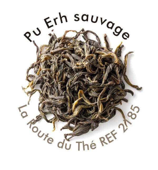 PU ERH SAUVAGE