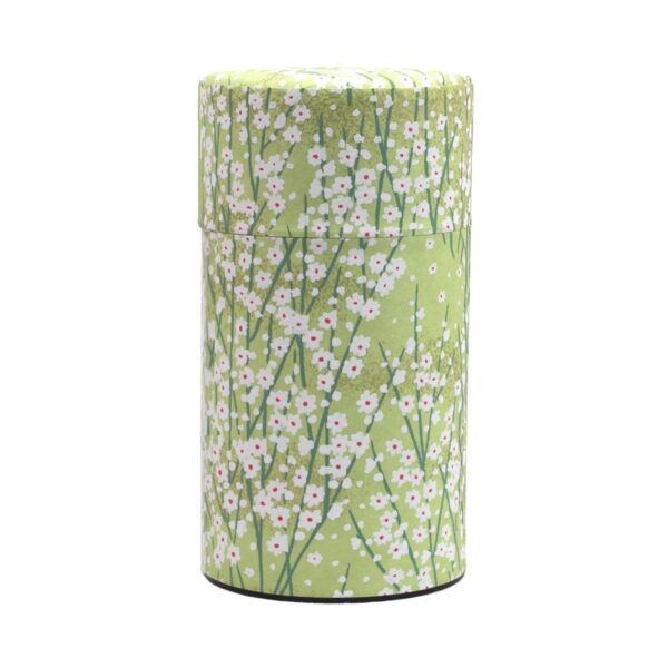 Boîte Washi - Green Cherry Blossom