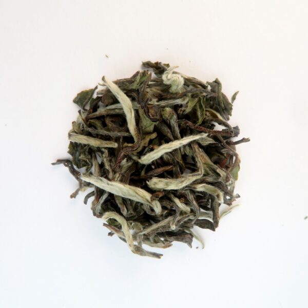 Alternative view of SAKHEJUNG BIO – Thé blanc primeur du Népal